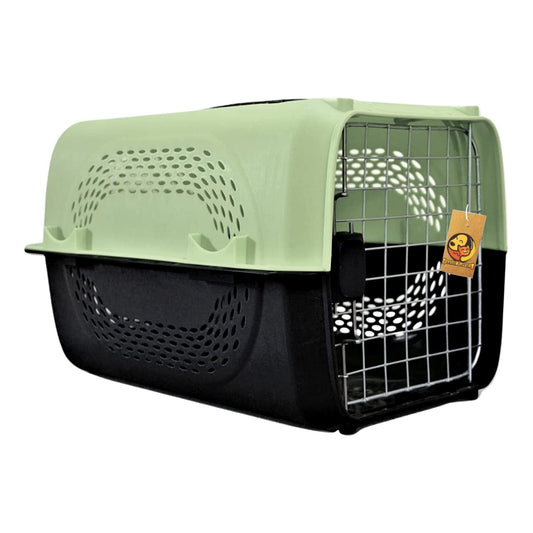 Portable Pet Travel Cage & Kennel House (Pastel Green)