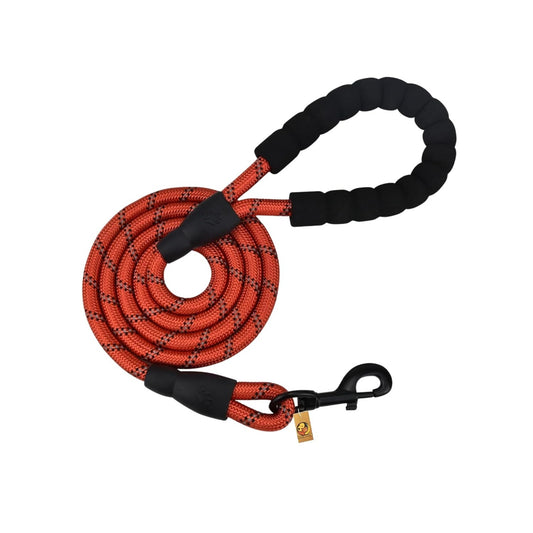 Reflective Snug Leash for Small to Medium Dogs, Red