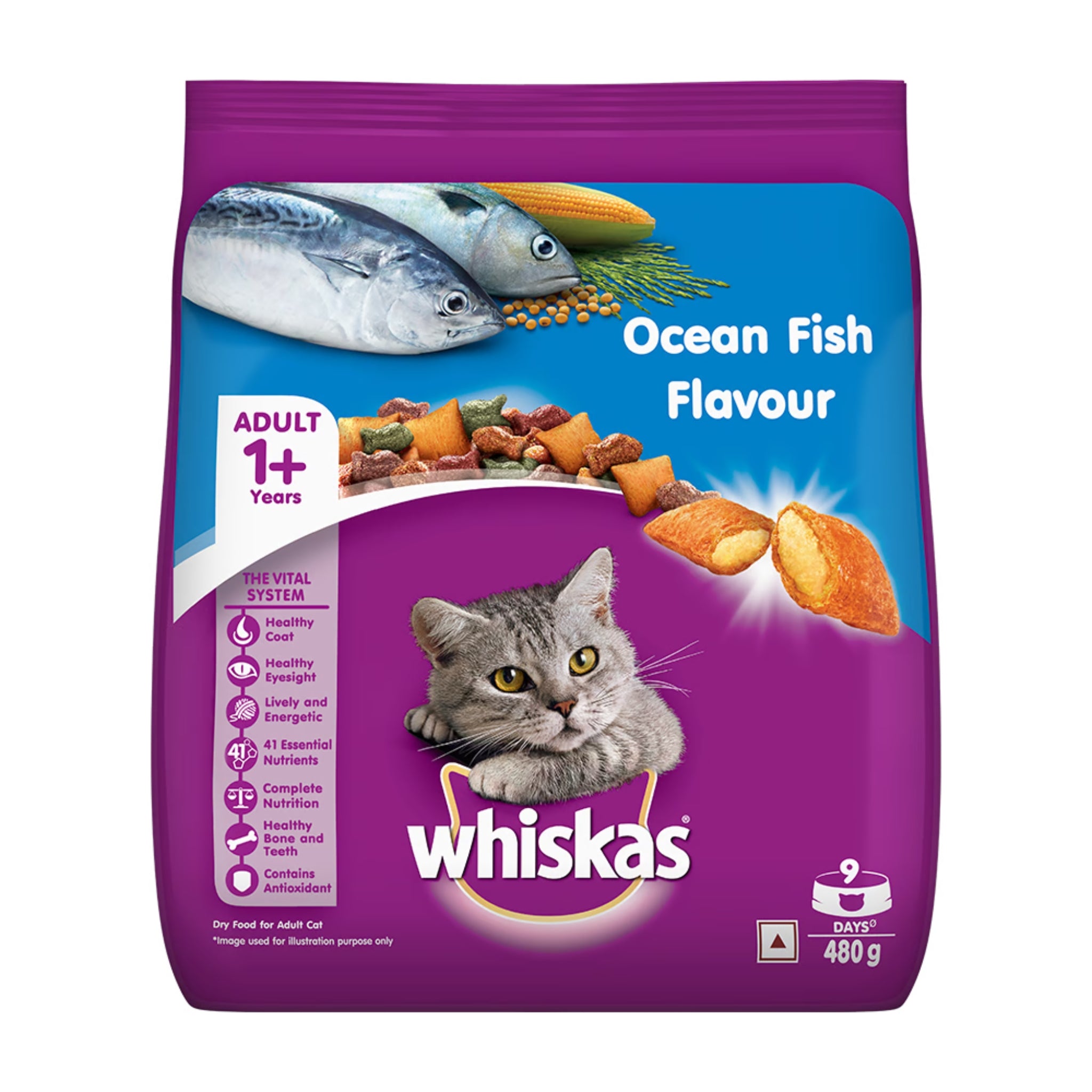 Whiskas Adult Dry Cat Food Ocean Fish Flavor 480gm Foodie