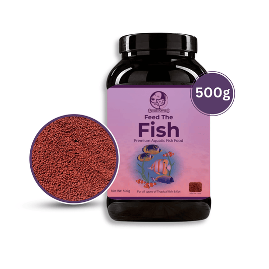 500g Fish Food 2.5mm Pellet, Nutritional & Optimal Growth