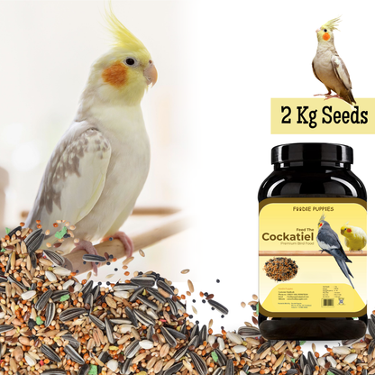 Cockatiels Mix Seeds - 2 Kg Box | Premium Seeds for All Birds