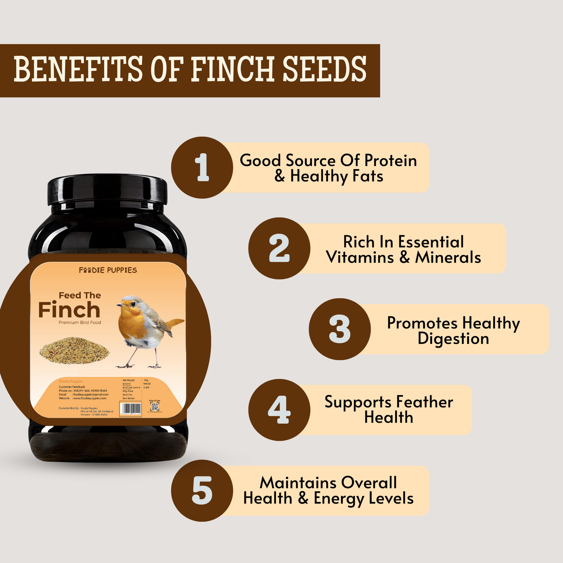 Finch Bird Food