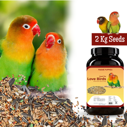 Lovebirds Seeds