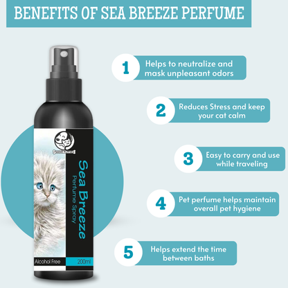 Cat Sea Breeze Perfume