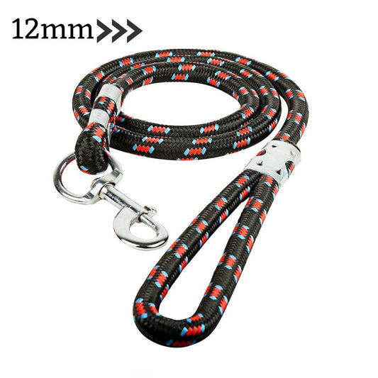 Nylon Leash for Medium & Large Dogs - 12mm (Color May Vary)