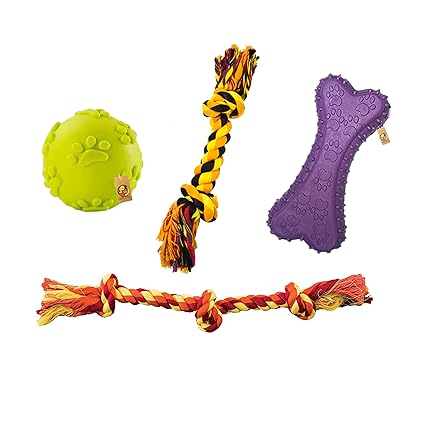 dog chew toy combo