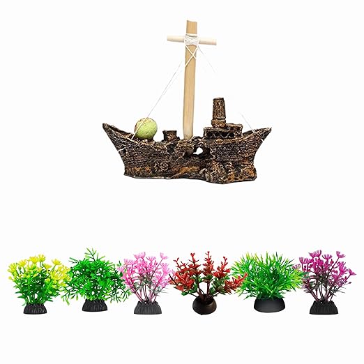 plants for aquarium