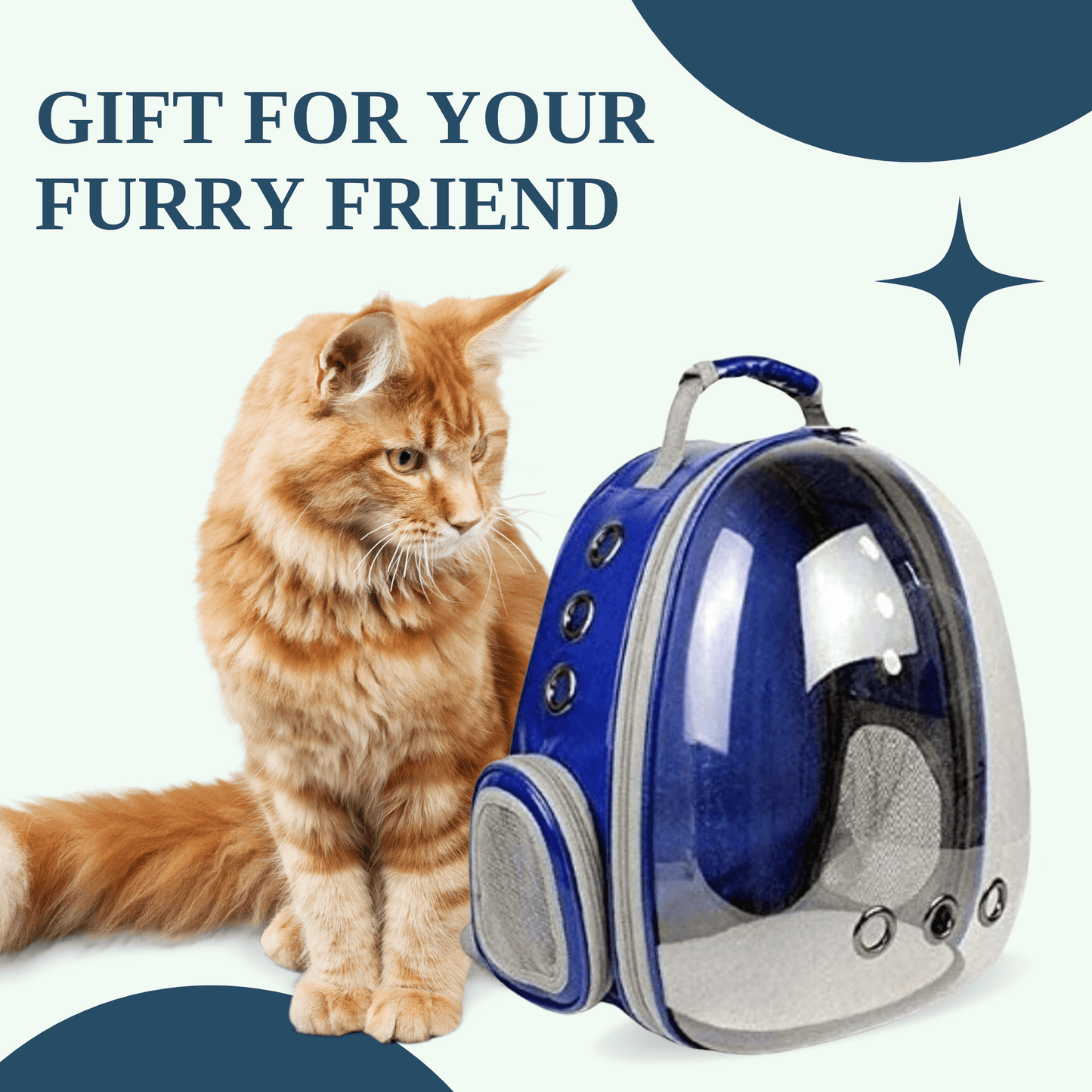 Transparent Travel Backpack for Puppies & Cats (Blue)