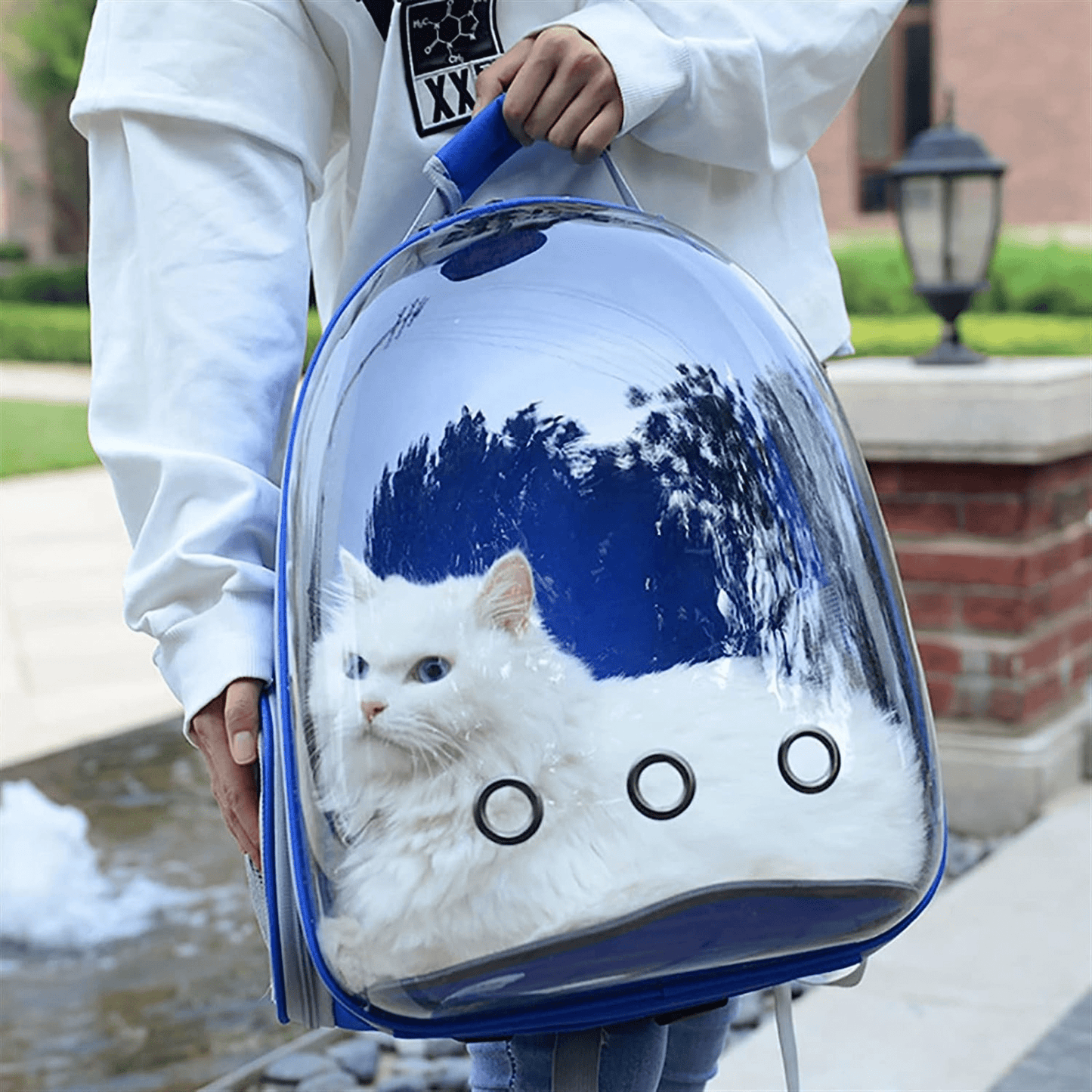 Transparent Travel Backpack for Puppies & Cats (Blue)