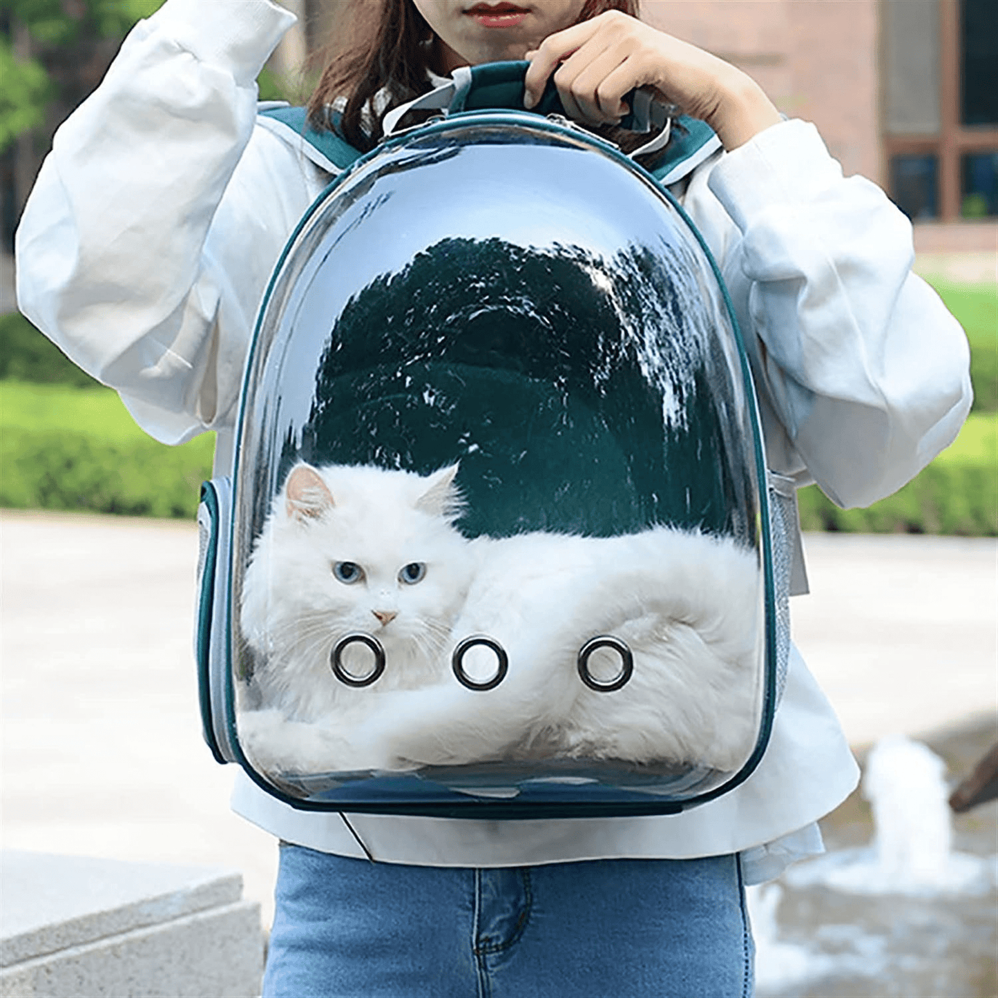 Transparent Travel Backpack for Puppies & Cats (Green)