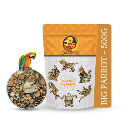 Bird food