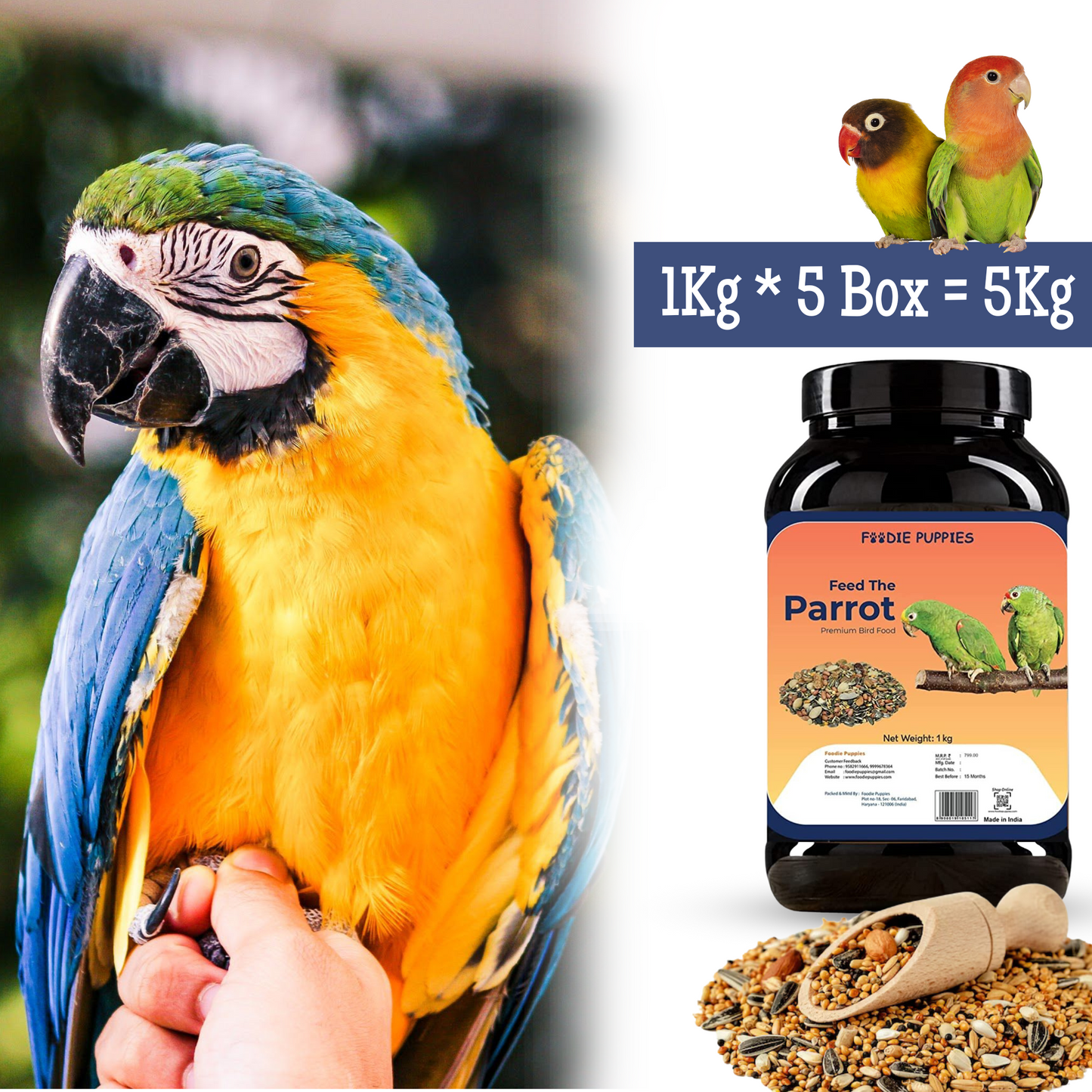 Big Parrot Mix Seeds - 5 Kg | Premium Bird Food