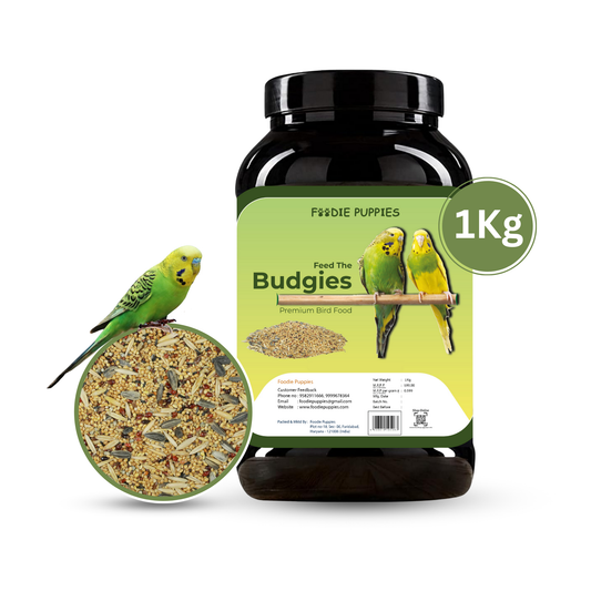 Budgies Daily Diet
