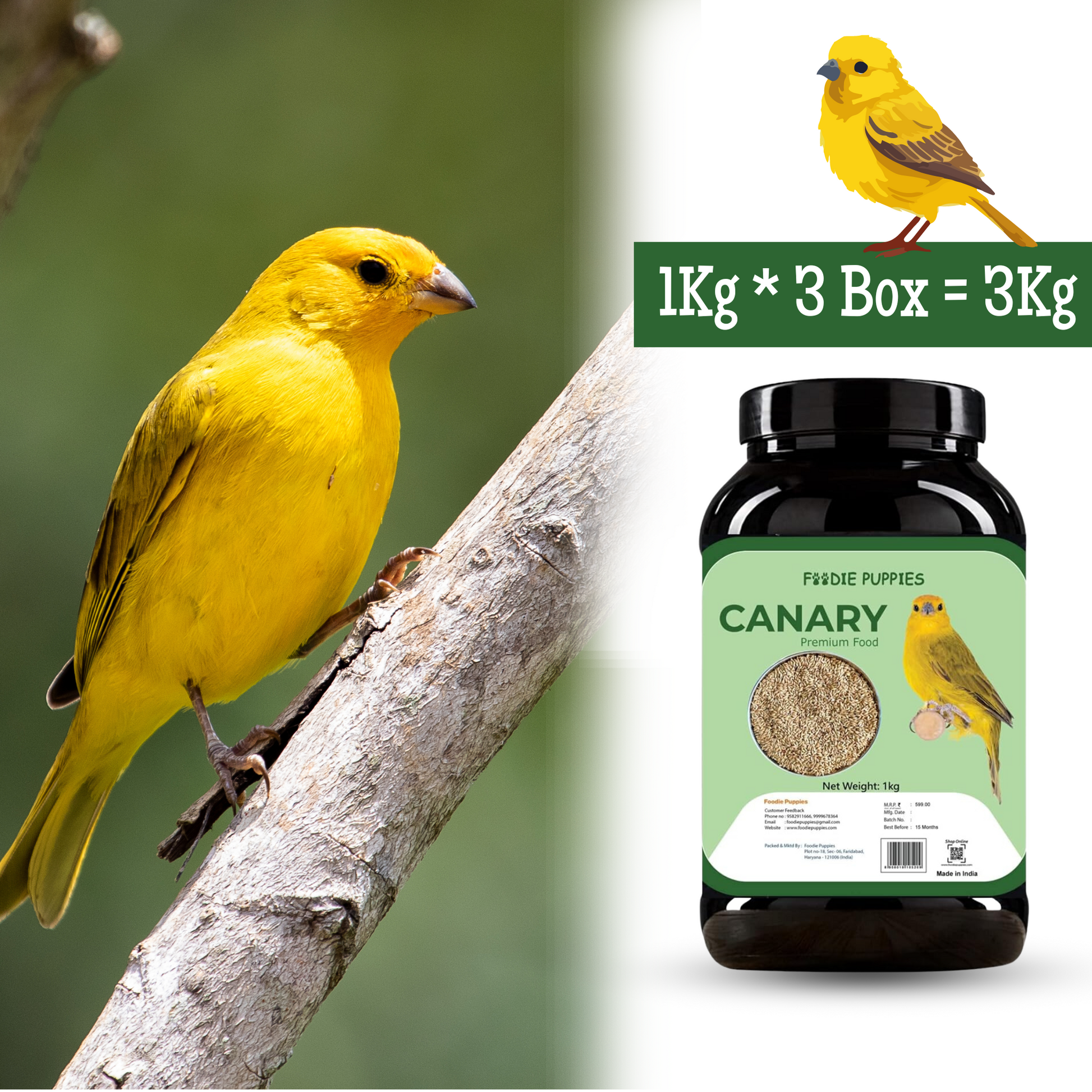 Premium Canary Seeds