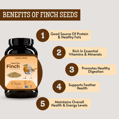 Finch Bird Food