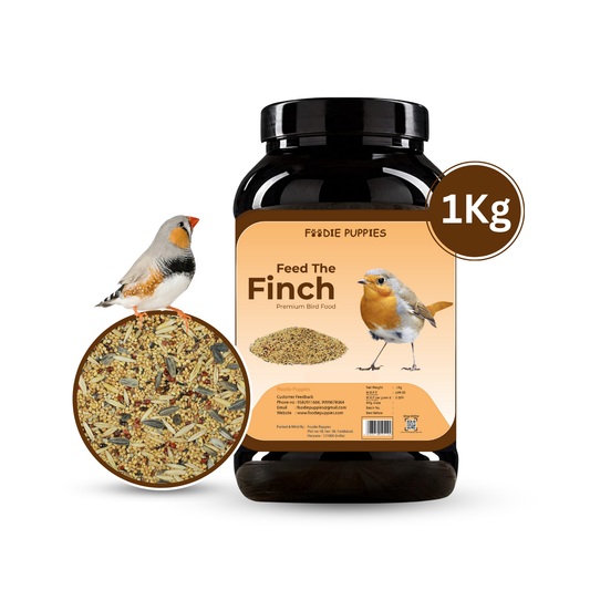 Finch Mix Seeds