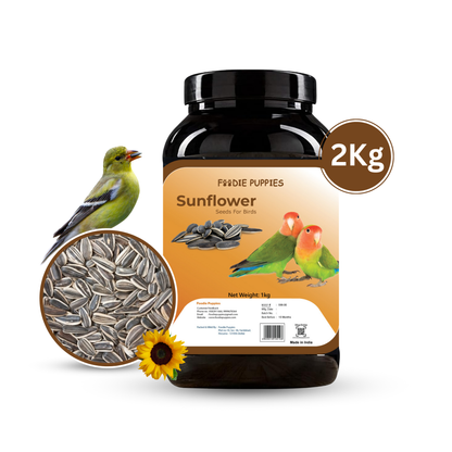 Sunflower Seeds - 2Kg | Premium Seeds for Birds