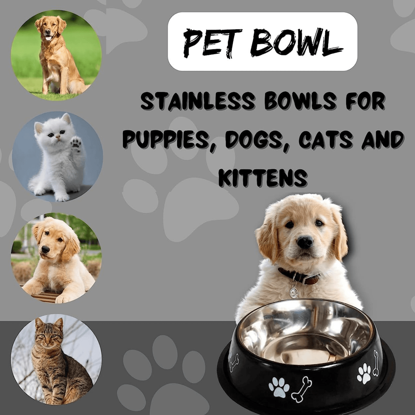 pet bowl