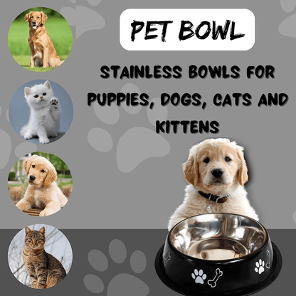 pet bowl