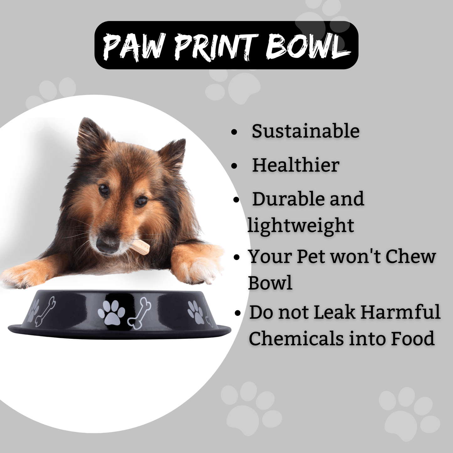 Steel water bowl for pets