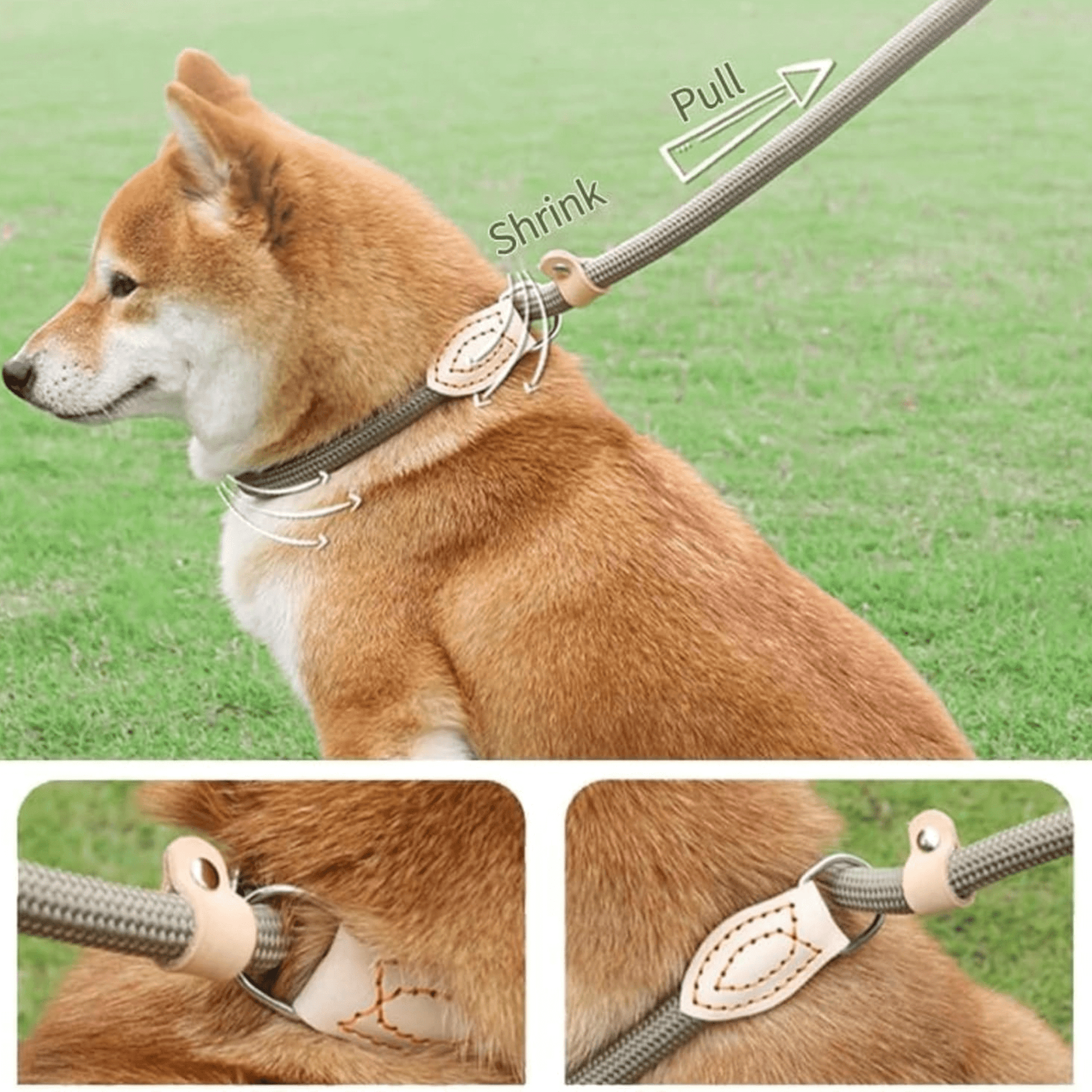 Dog walking leash