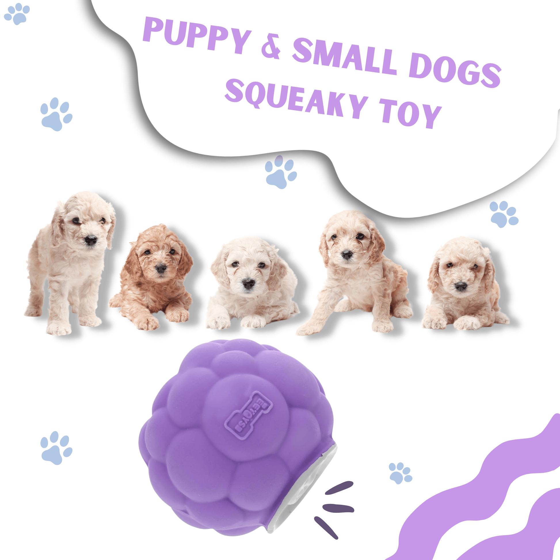 Puppy Squeaky Toy