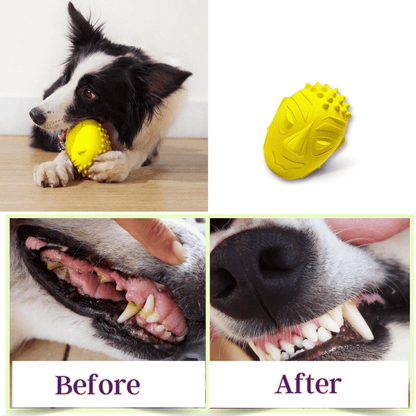 Dog Natural Latex Rubber Squeaky Toy - Buddy Squeaky Toy