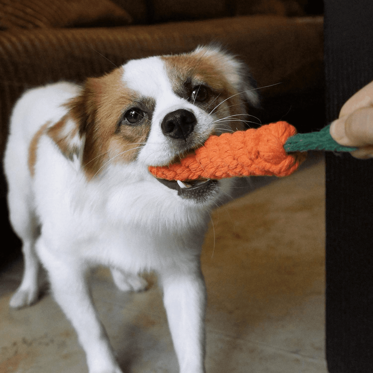 Durable Rope Chew Toy for Dogs & Puppies (Carrot-Shaped)