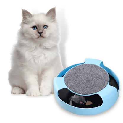 Interactive Catch The Mouse Toy for Cats & Kittens