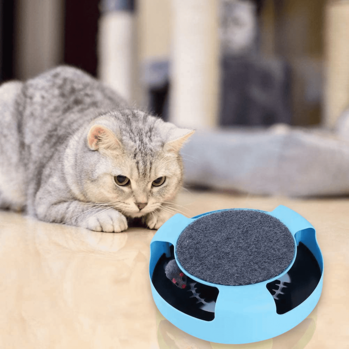 Interactive Catch The Mouse Toy for Cats & Kittens