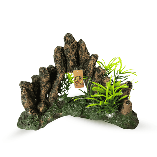 Cave with Plant