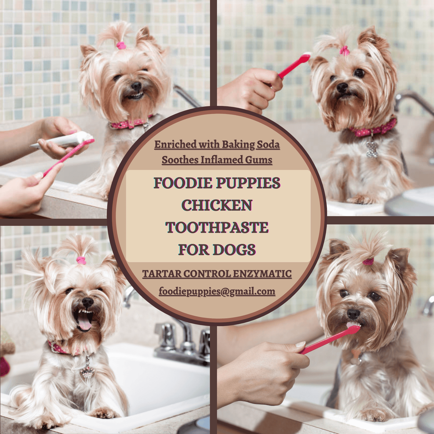 Chicken Toothpaste for Dogs & Cats - 100g, Pack of 2