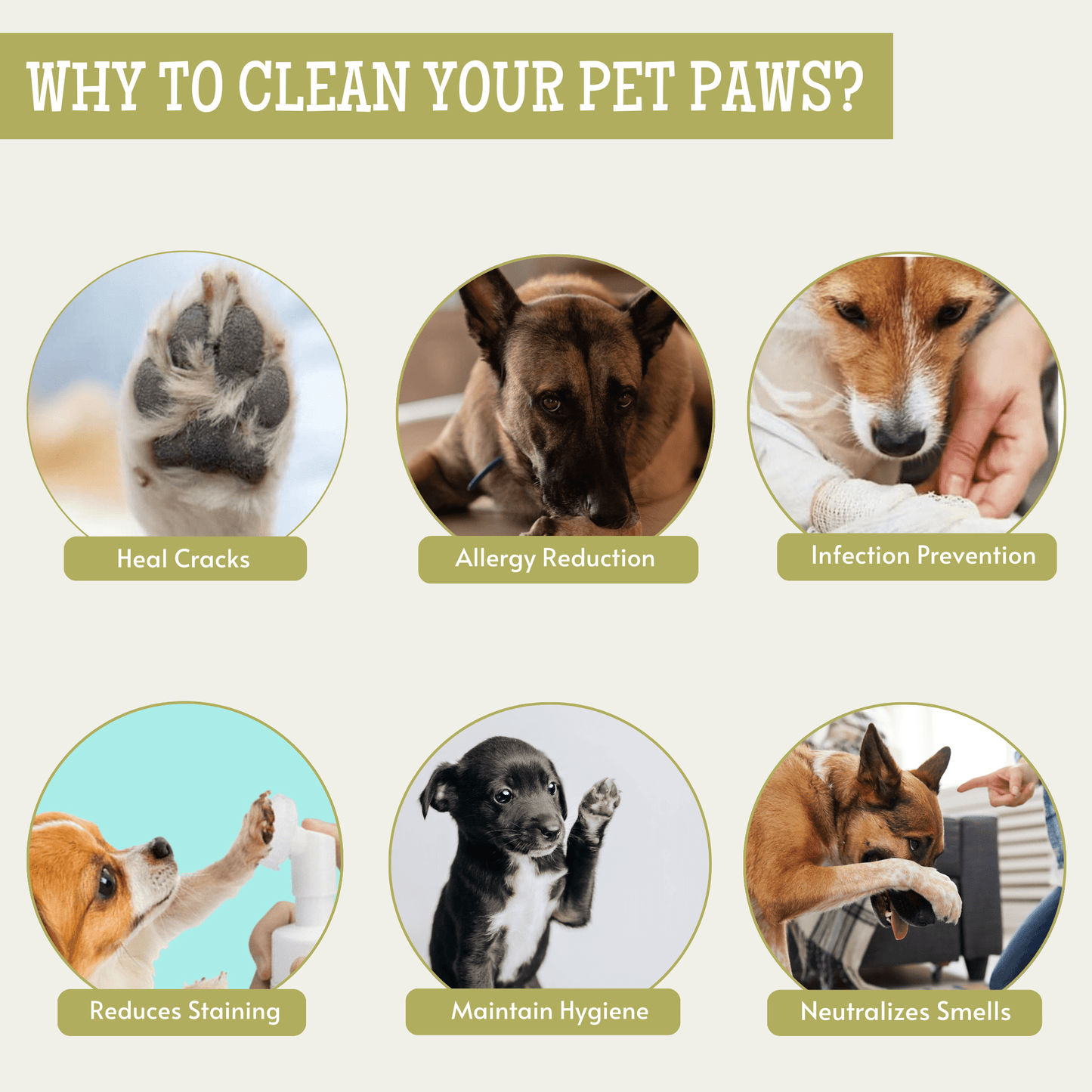 Pet Foot Cleaning Foam