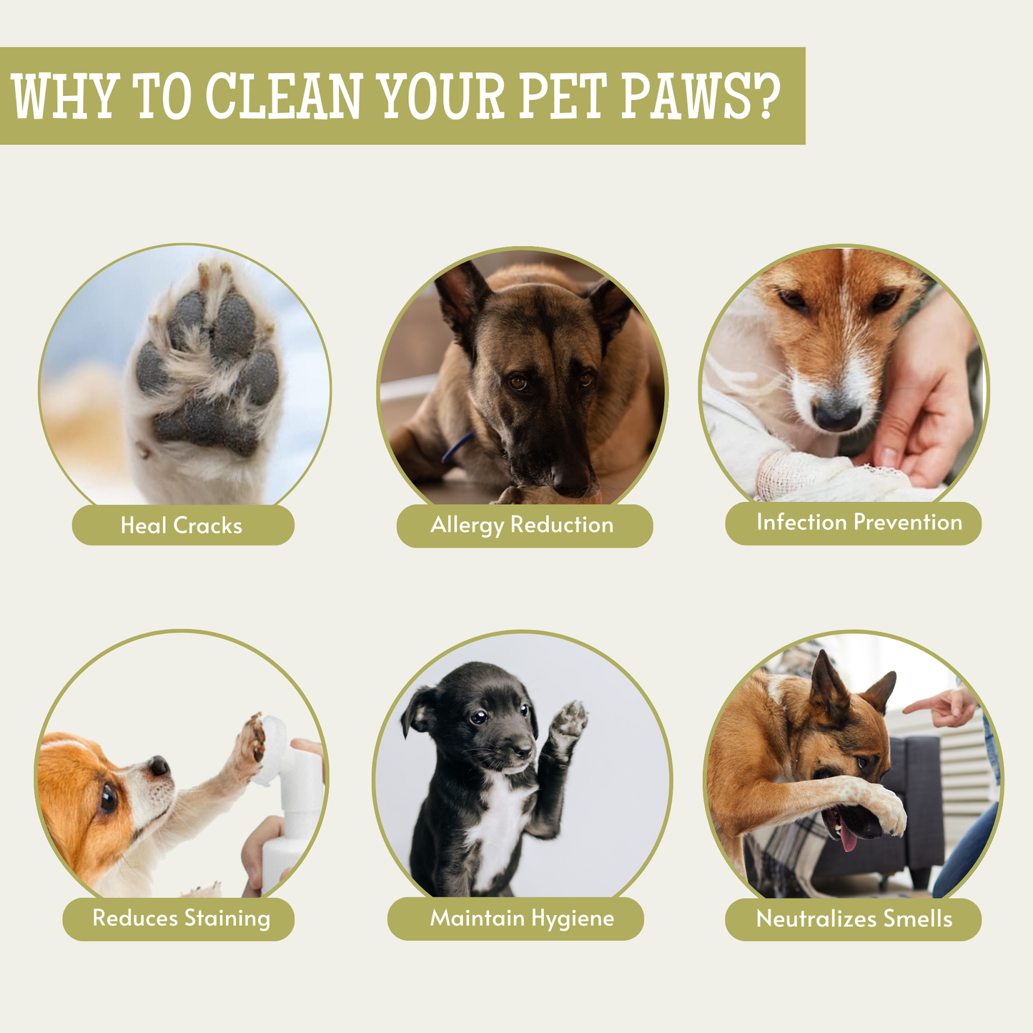 pet paw cleaner