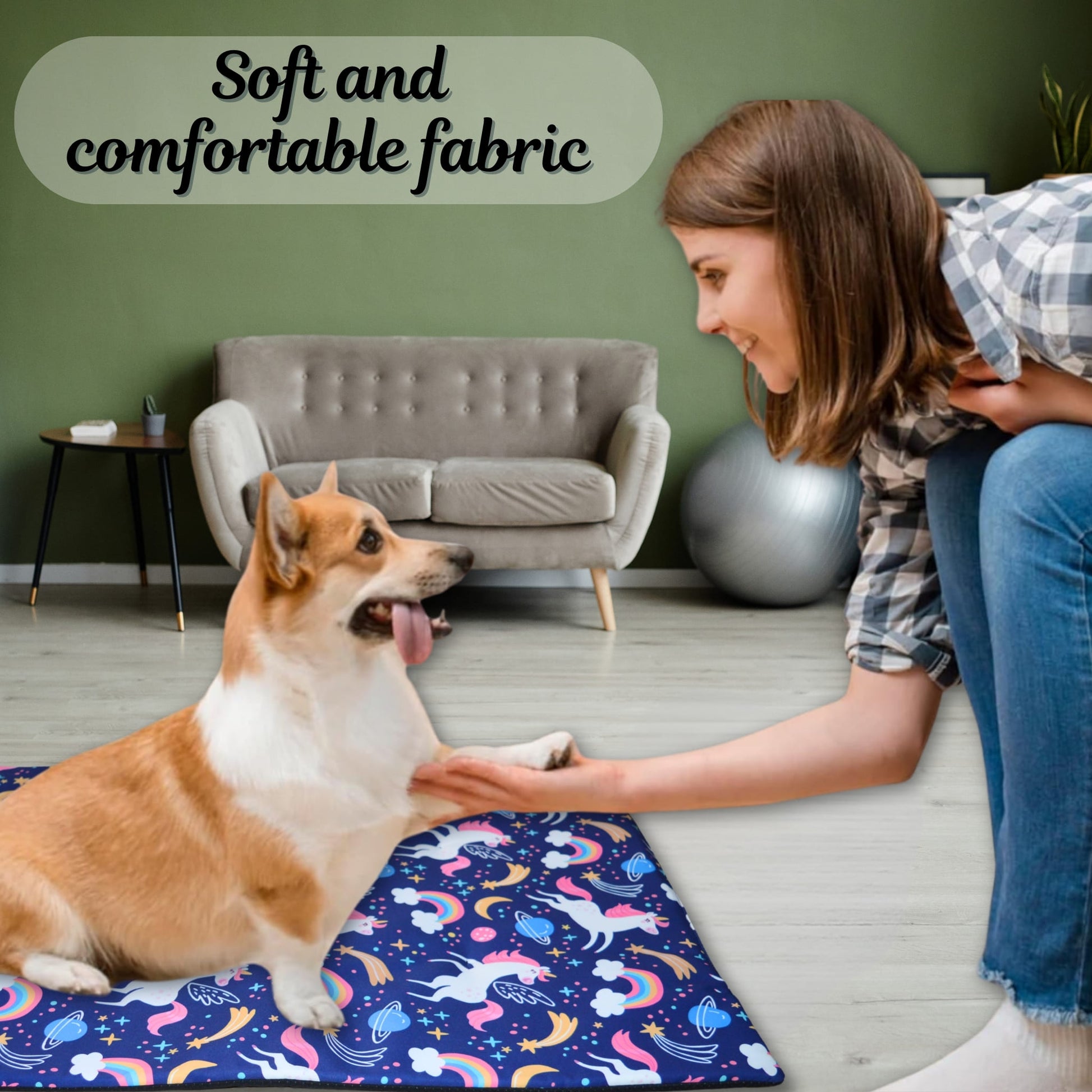 Soft Fabric Dog Mattress