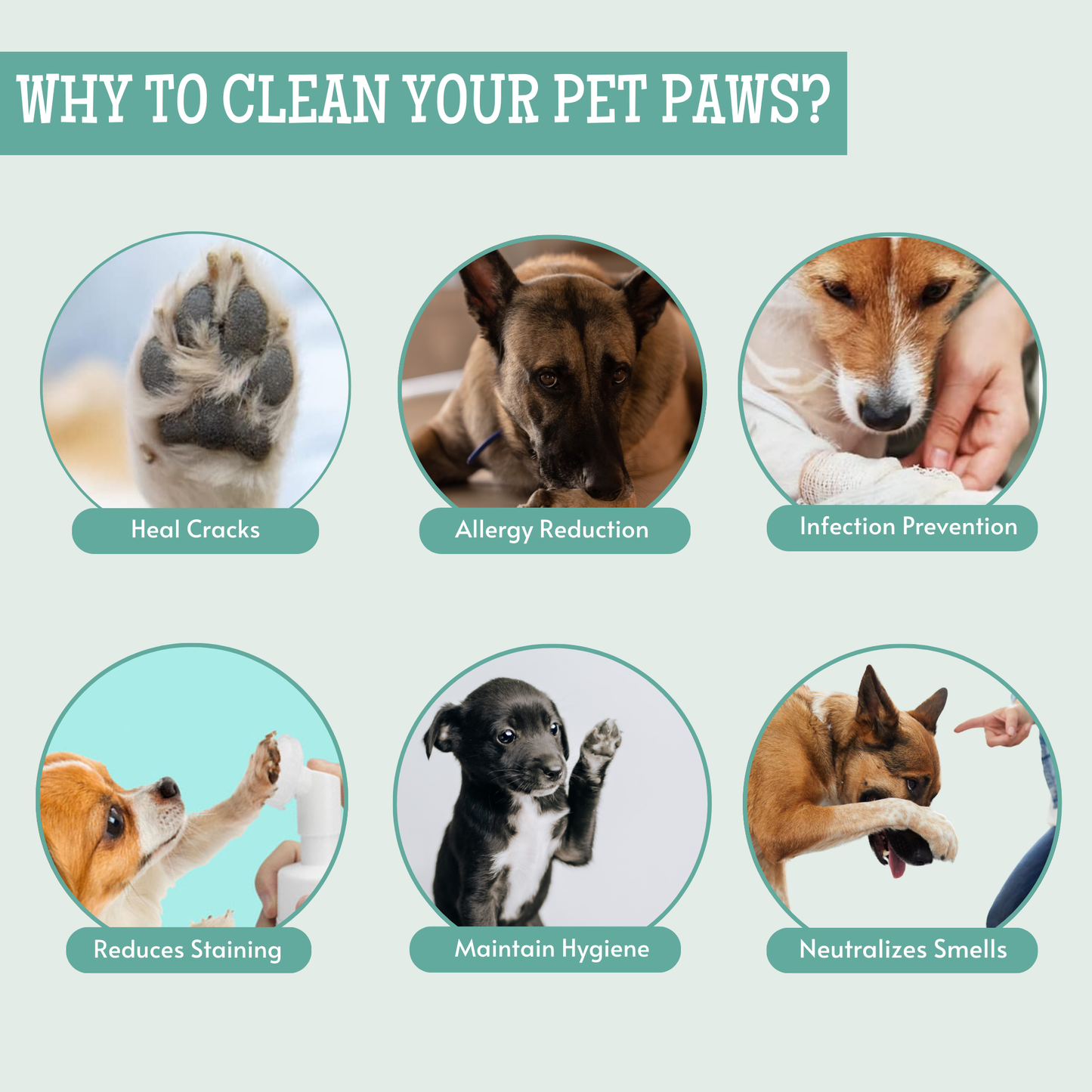 pet paw cleaner