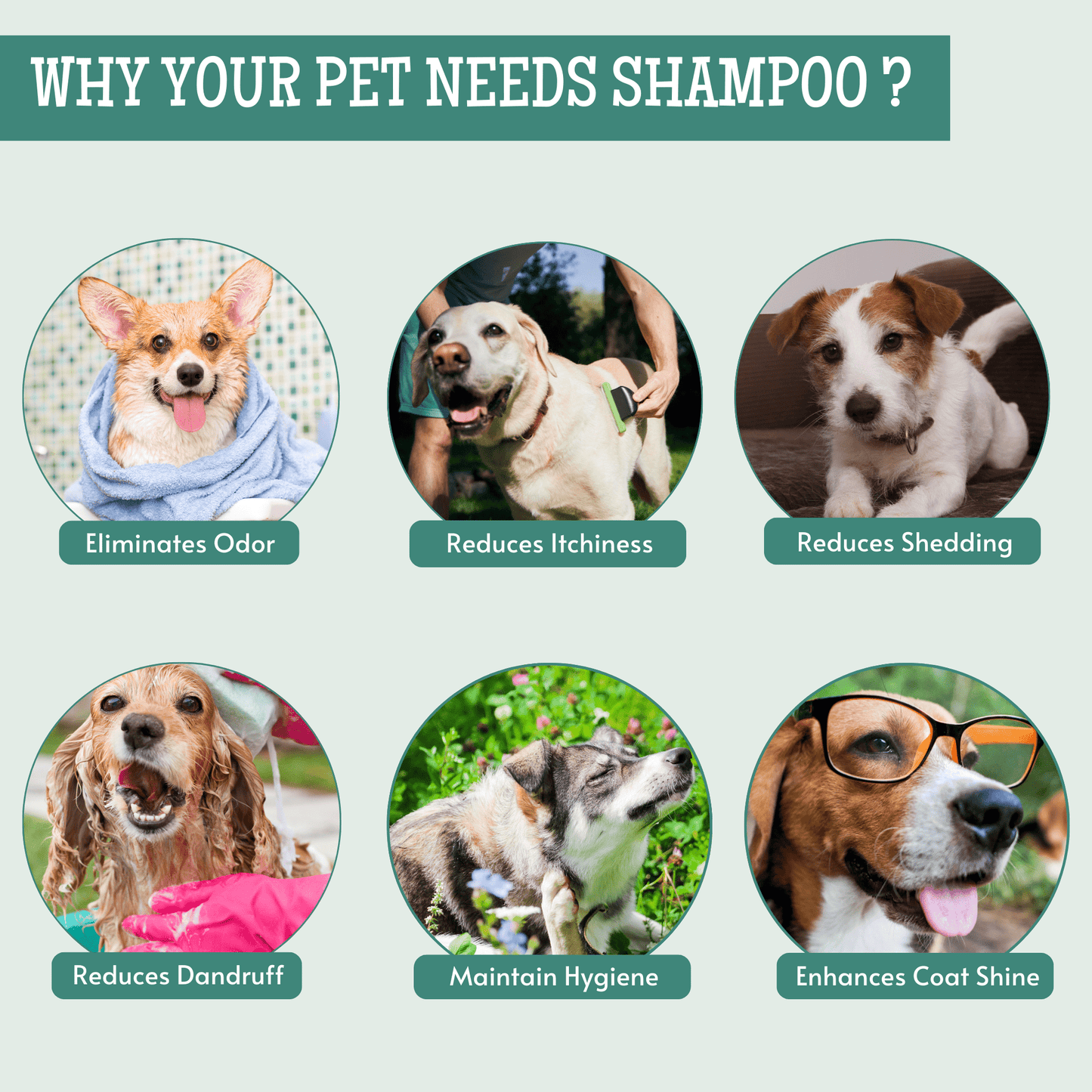 Pet Odor Control Shampoo