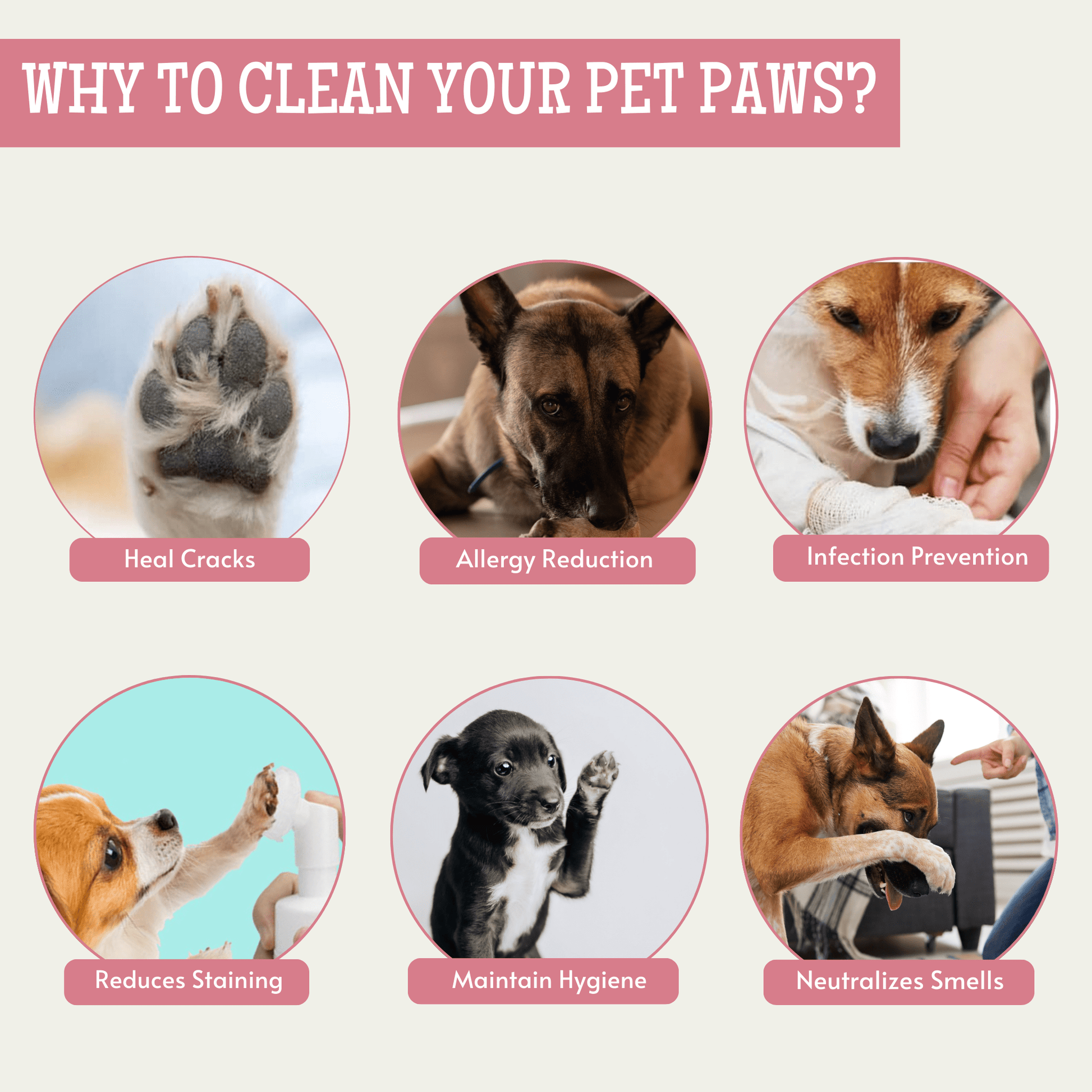 Pet Foot Cleaning Foam