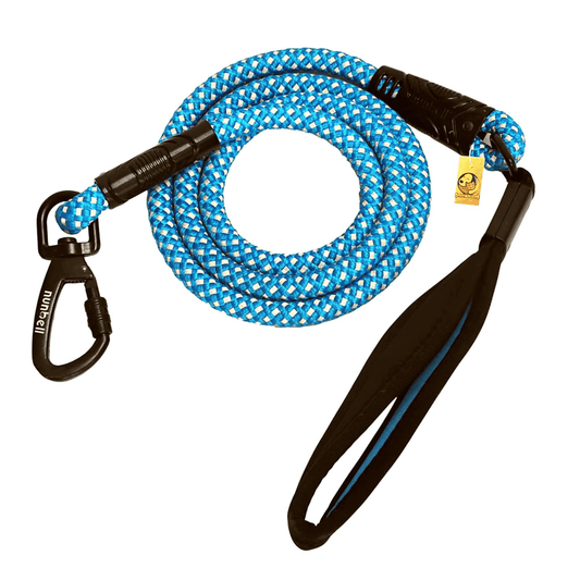 Dog nylon reflective leash