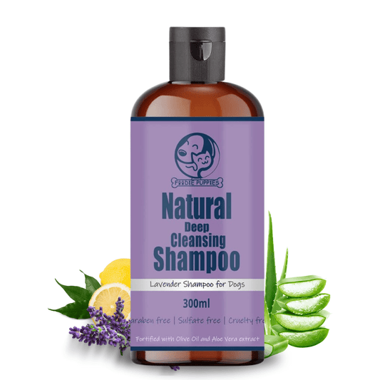 Dog Lavender Shampoo