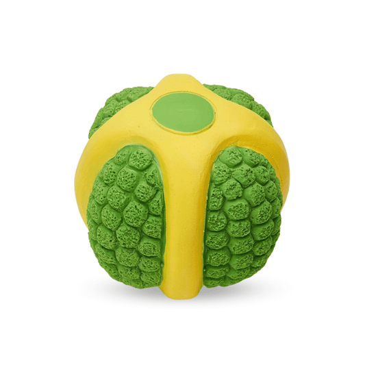 Latex Squeaky Toy for Medium Dog - Melon, Large