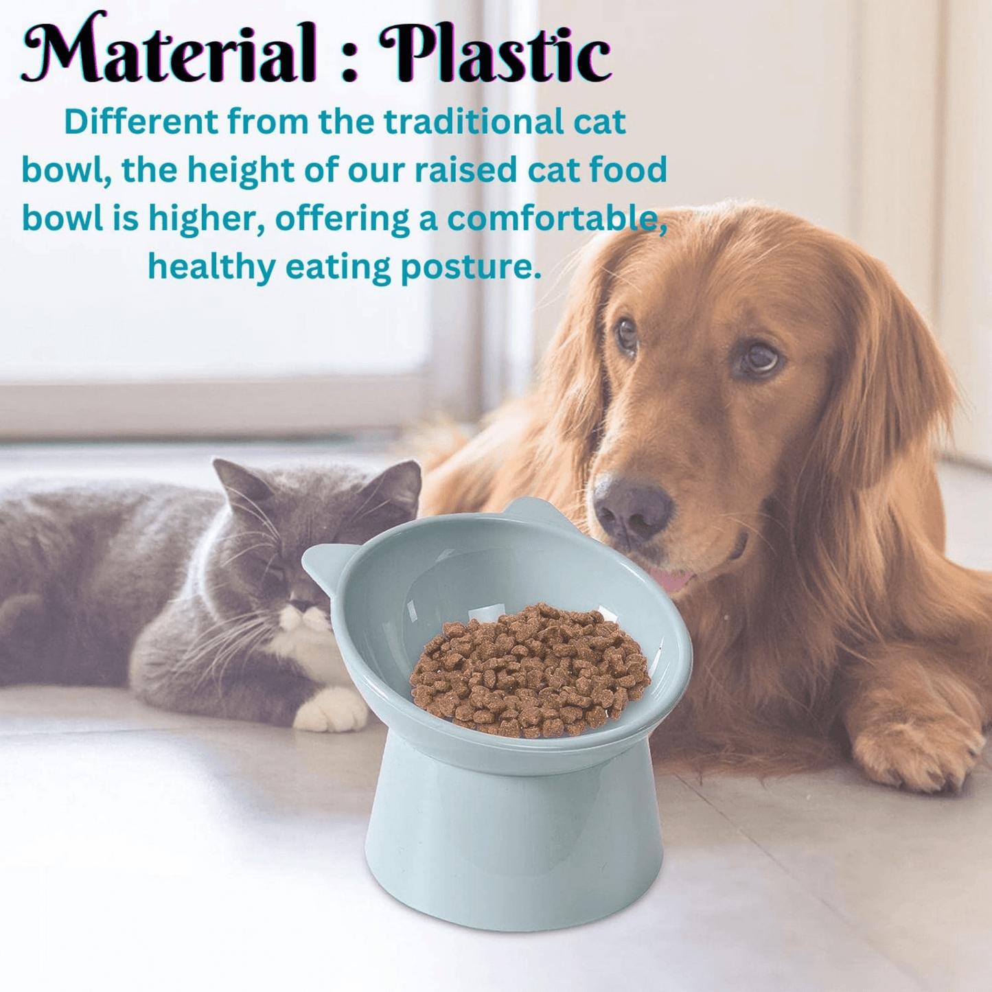 plastic cat bowl