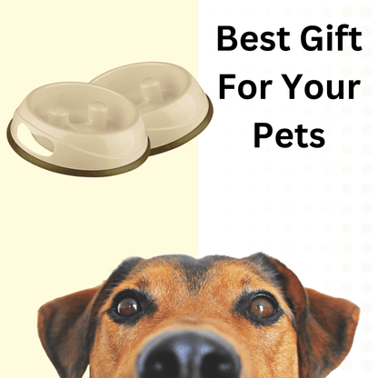 Fidgeting pet bowl