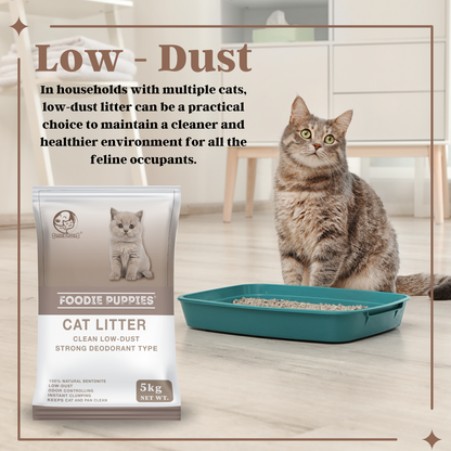 Natural Bentonite Low Dust Cat Litter - 5Kg