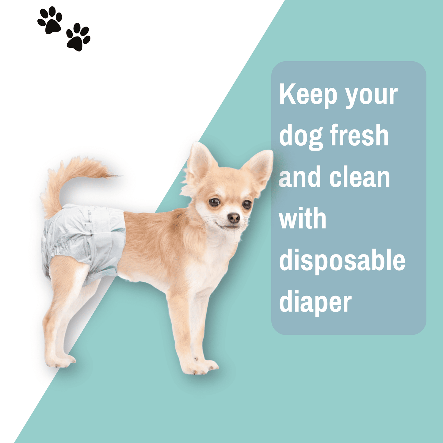 Disposable Dog Diapers for Female Dogs - Medium