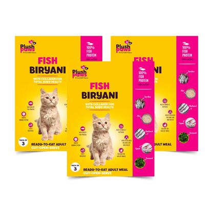 Fish biryani for cats