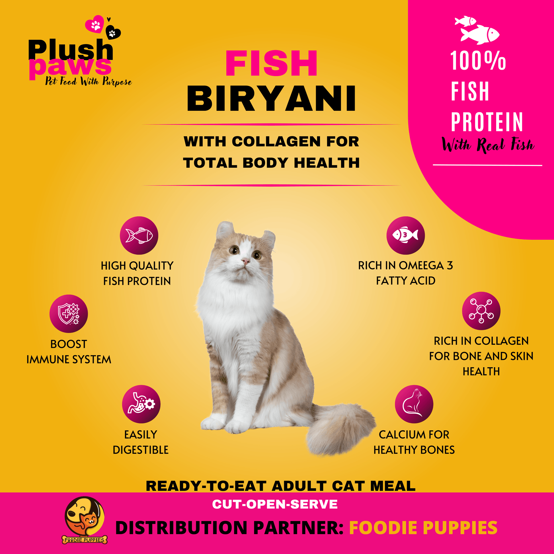 Fish Biryani for Cats