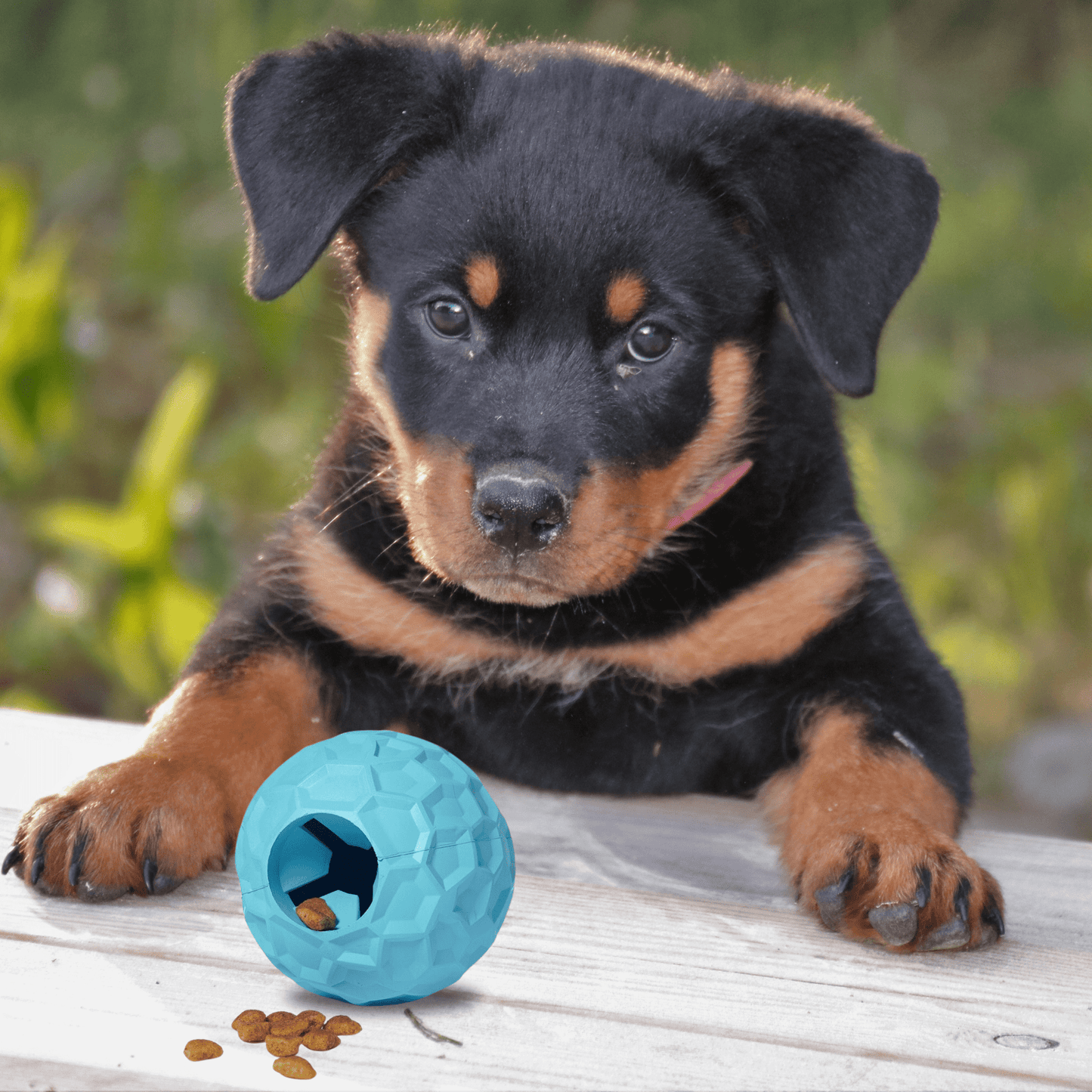 Dog Treat Dispenser Ball for Dogs and Puppies - Flick Ball