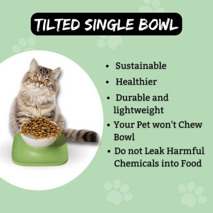 Feeder Bowl for Small Dogs