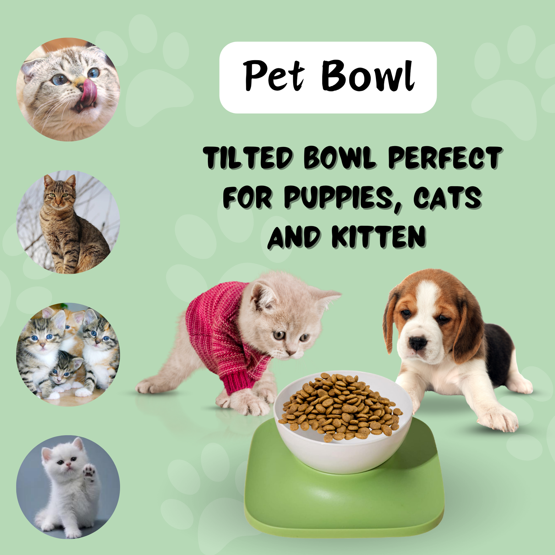 cat feeder bowl